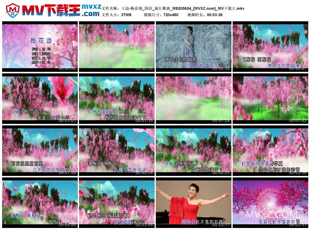 王喆-梅花颂_国语_流行歌曲_MB205624